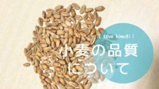 【北海道産小麦】品種別、農業からの視点｜パンから日記
